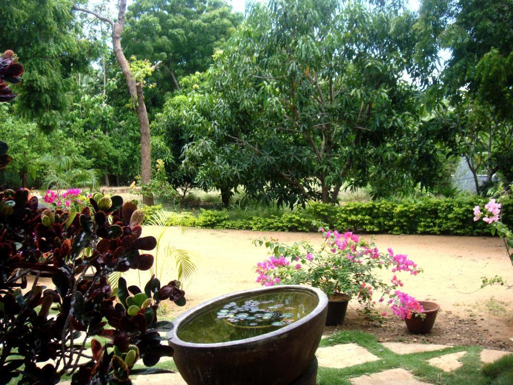 Le Grand Meaulnes Hotel Habarana Exterior photo